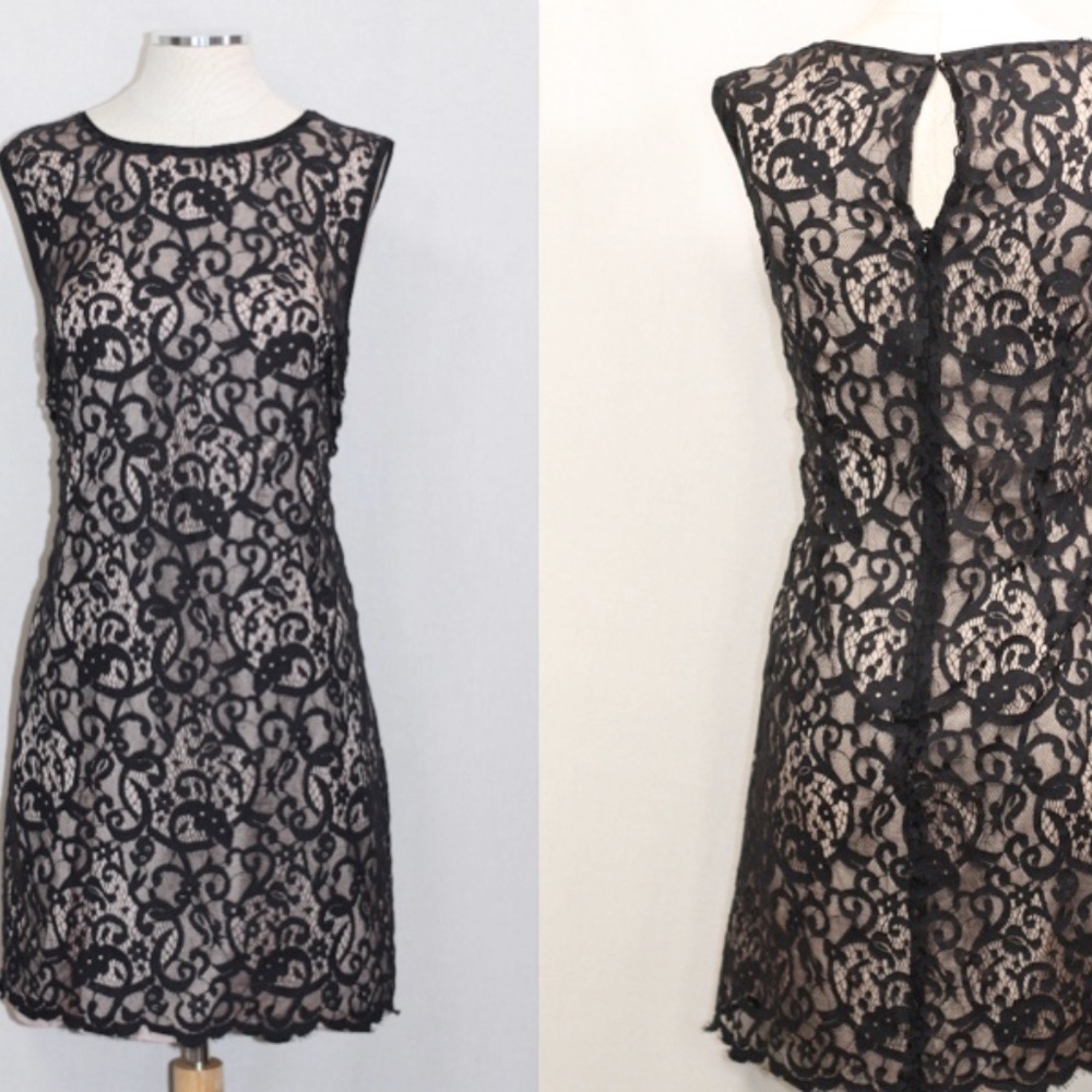 Ann Taylor Loft Dress
